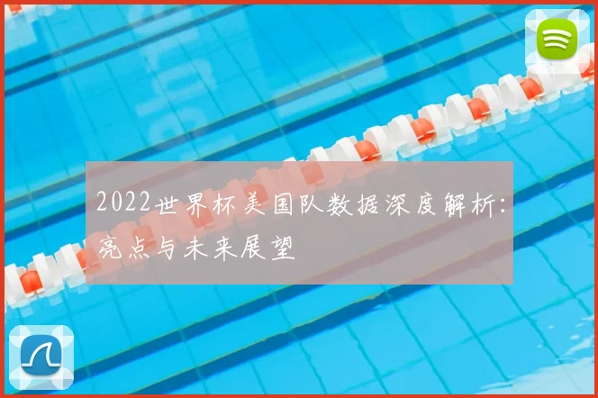 2022世界杯美国队数据深度解析：亮点与未来展望
